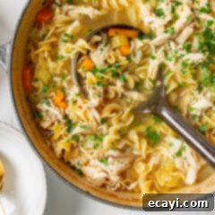 Golden Chicken Noodle Comfort 9 pot of Chicken Noodle Soup