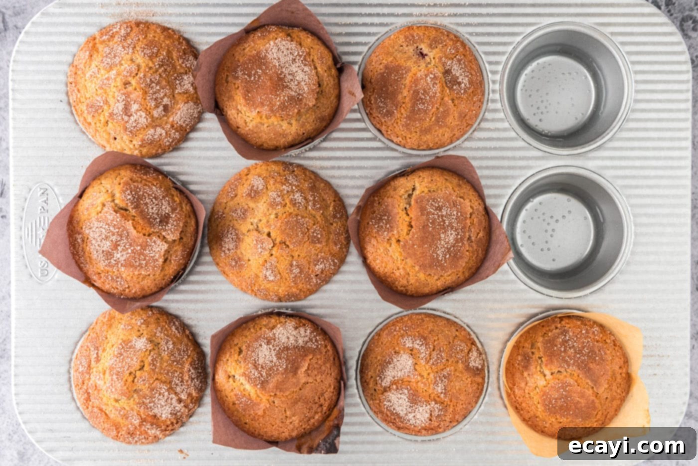 Sparkling Sugar Plum Muffins 17 A batch of freshly baked plum muffins, beautifully domed and topped with cinnamon sugar, cooling in the muffin pan.