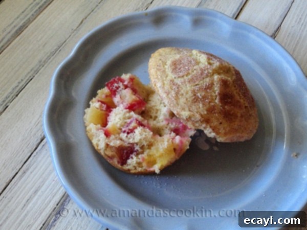 Sparkling Sugar Plum Muffins 20 Original photo of Sugar Crusted Plum Muffins, showing a more rustic presentation of the baked goods.