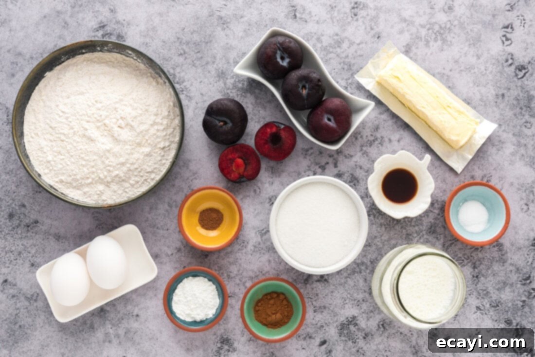 Sparkling Sugar Plum Muffins 4 A flat lay photograph showing all the ingredients neatly arranged for making Sugar Crusted Plum Muffins, including fresh plums, flour, sugar, eggs, butter, milk, and spices.