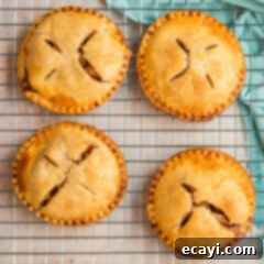 Golden Apple Pockets 13 Four Apple Hand Pies on a wire rack