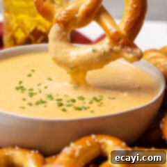 Hoppy Cheese Indulgence 11 Beer Cheese Dip