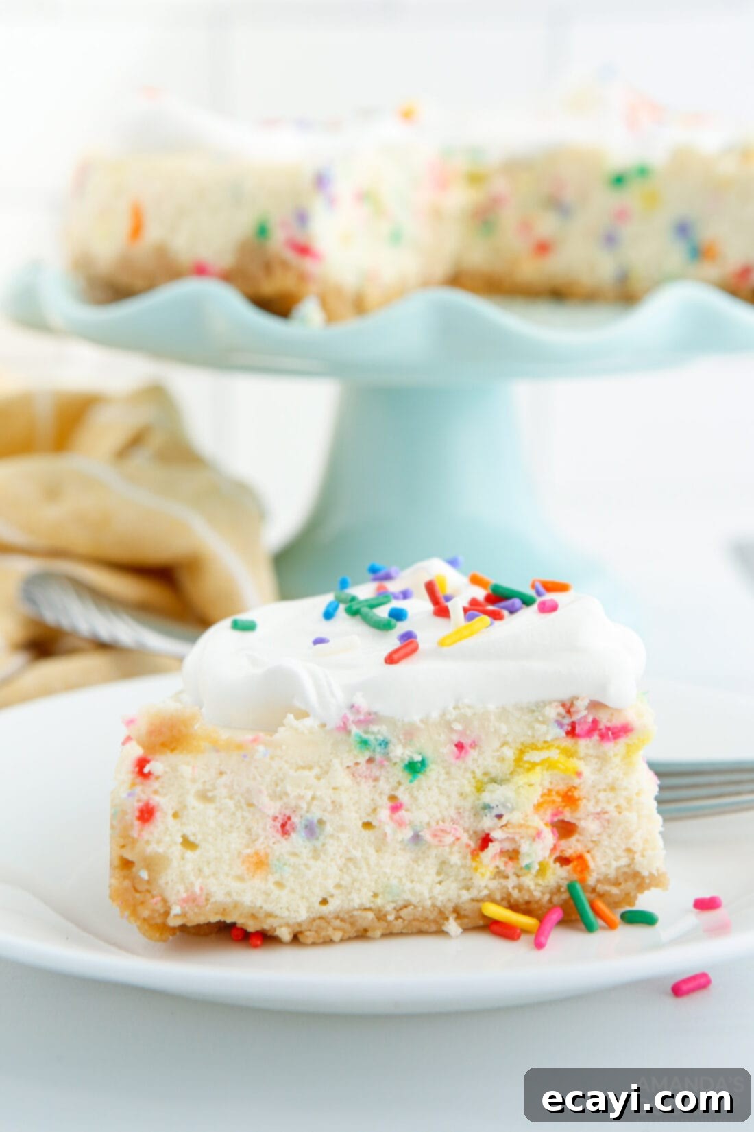 Effortless Instant Pot Funfetti Cheesecake 2 A colorful slice of Instant Pot Funfetti Cheesecake with sprinkles