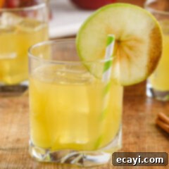 Harvest Spice Apple Elixir 10 Cinnamon Applesauce Cocktail
