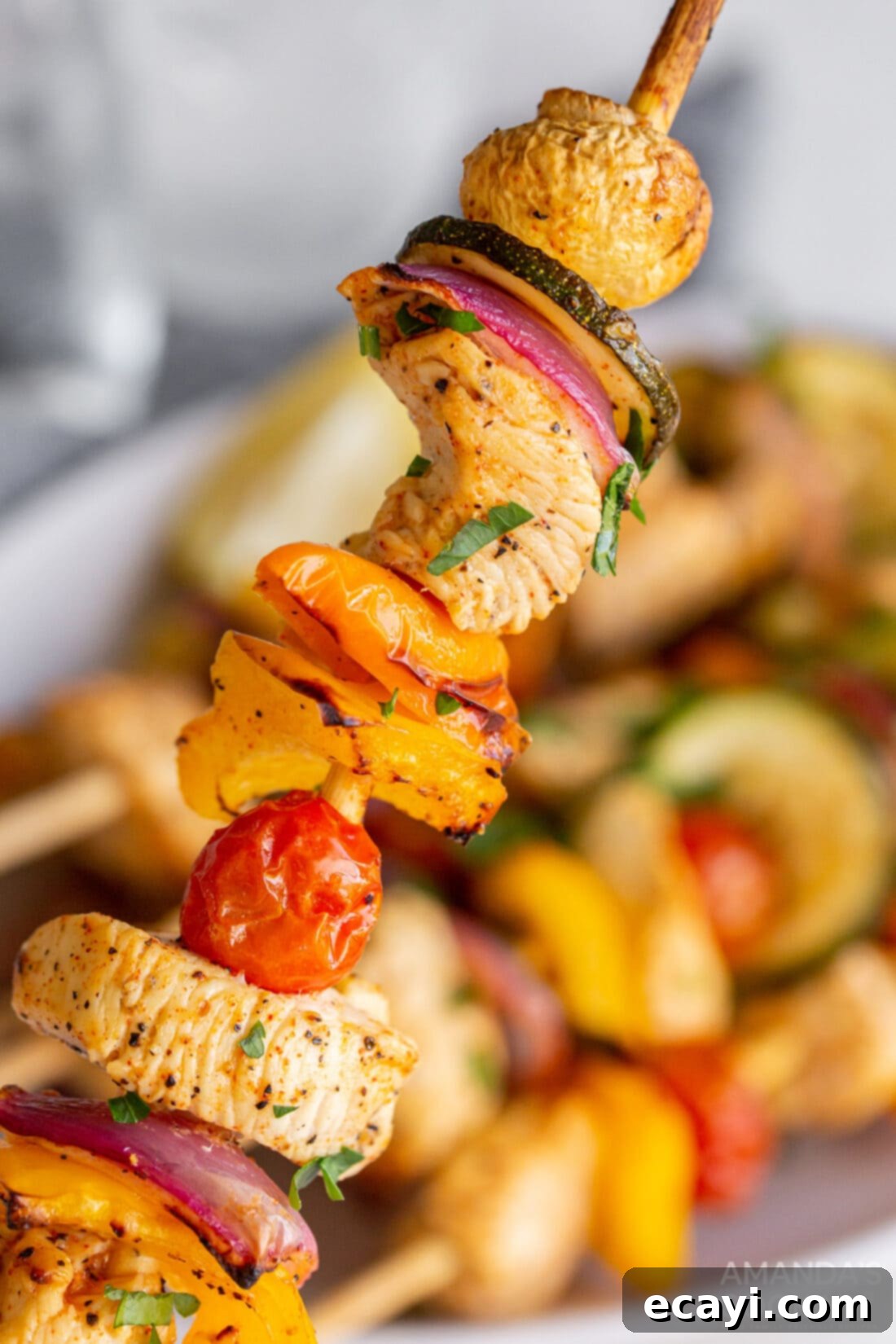 Effortless Air Fryer Chicken Kabobs 3 A single Air Fryer Chicken Kabob showcasing chicken and vegetables