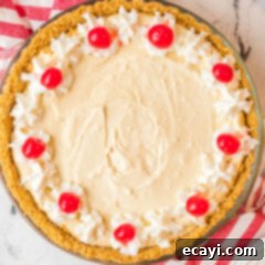 Frothy Root Beer Dream Pie 12 overhead view of Root Beer Float Pie