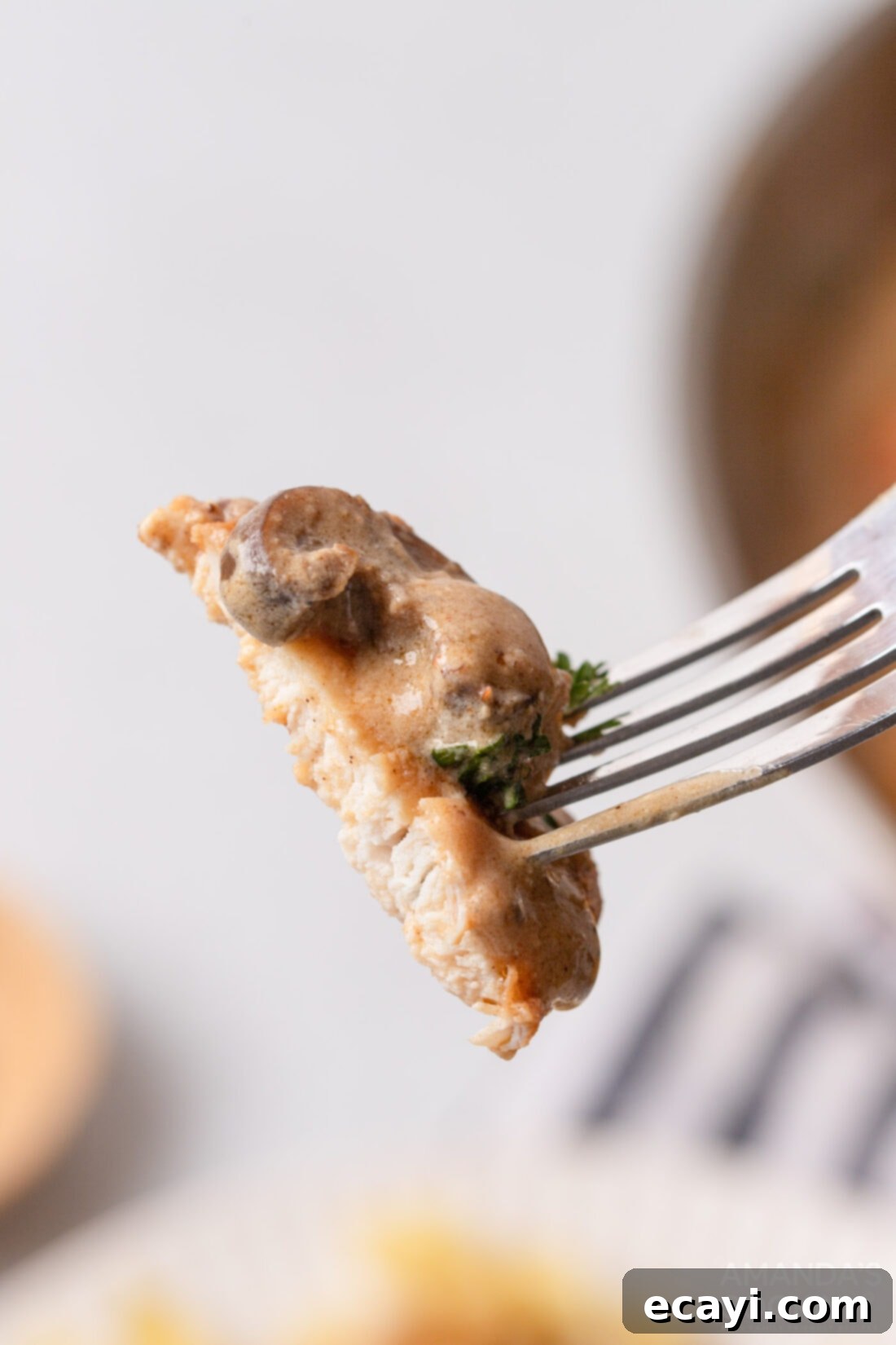 Creamy Chicken Stroganoff 12 fork of Chicken Stroganoff