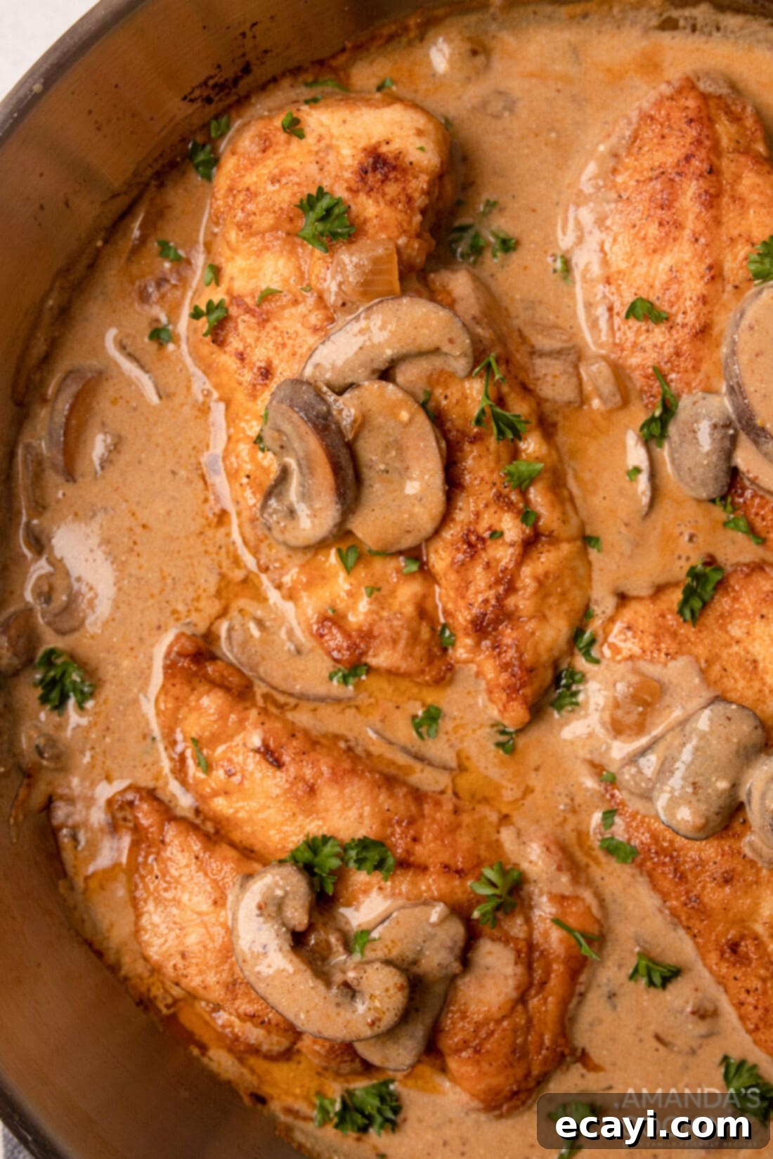 Creamy Chicken Stroganoff 3 chicken in a skillet with mushrooms