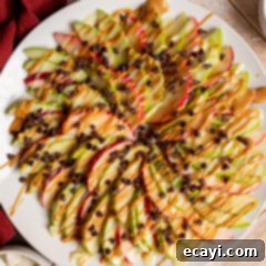 Orchard Nachos 8 Apple Nachos