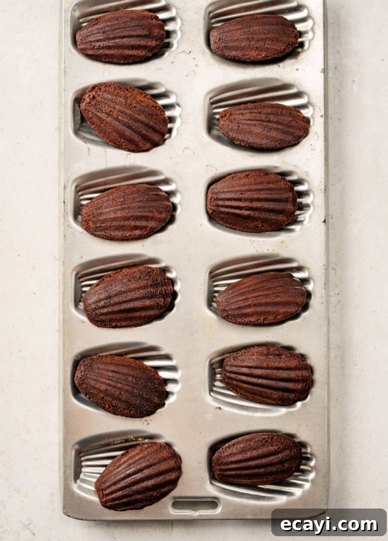 Decadent Mocha Madeleines with Espresso Drizzle 6 Freshly baked mocha madeleines // FoodNouveau.com