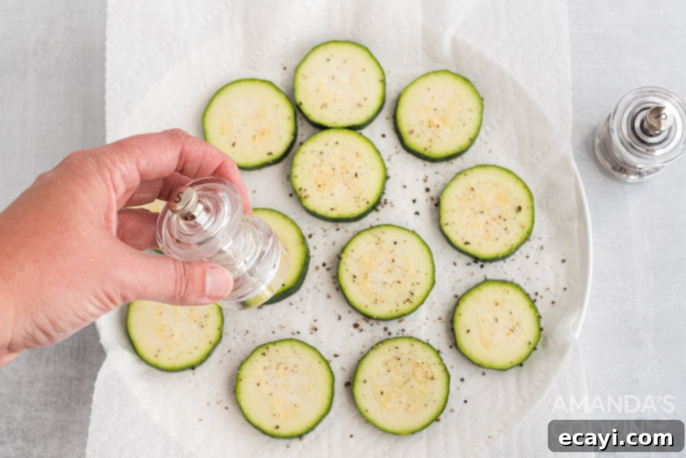 Mini Zucchini Bites 5 seasoning zucchini rounds with salt and pepper