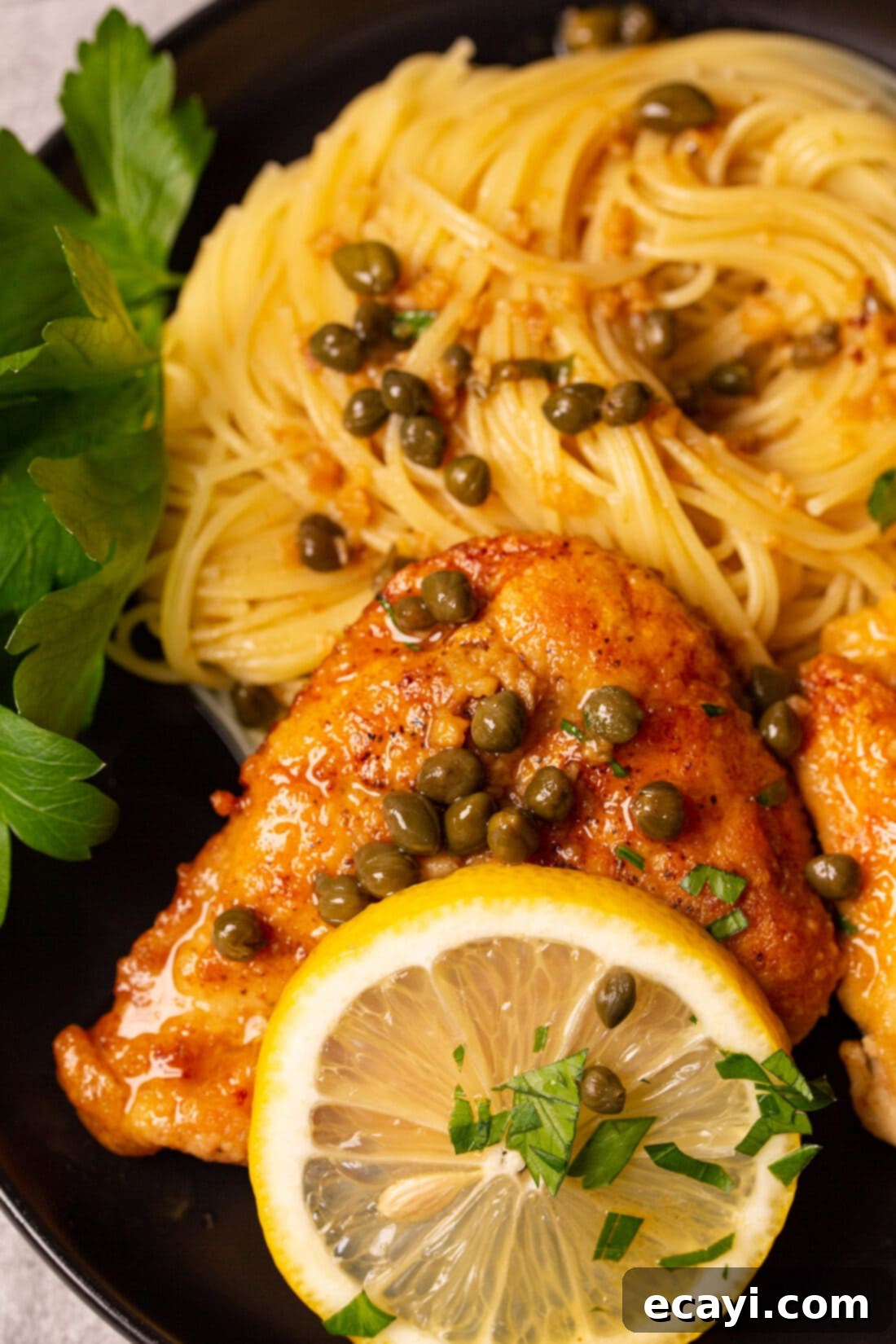 Lemon Caper Chicken 3 Close up of Chicken Piccata served with spaghetti and fresh parsley garnish.