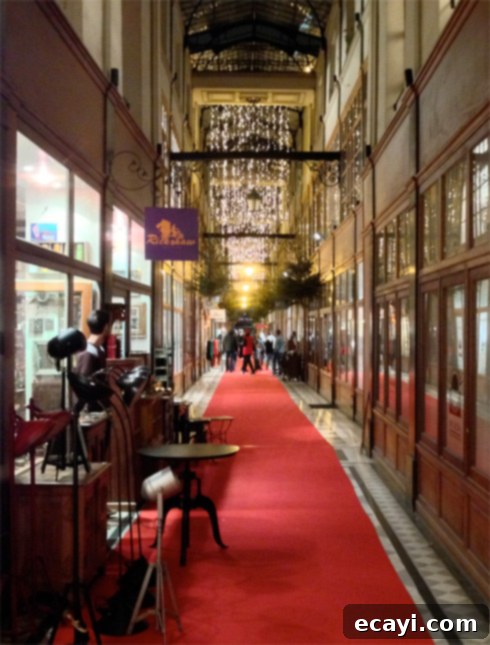 The Grandeur of Le Passage du Grand Cerf Passage du Grand Cerf: Paris's most beautiful and historic shopping arcade