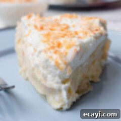 Velvet Coconut Cream Pie 9 Coconut Cream Pie