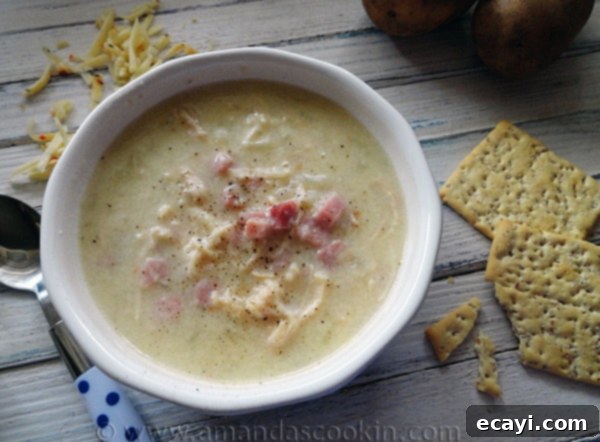 Cheesy Chicken & Ham Chowder Cheesy Chicken & Ham Chowder
