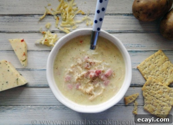 Cheesy Chicken & Ham Chowder Cheesy Chicken & Ham Chowder