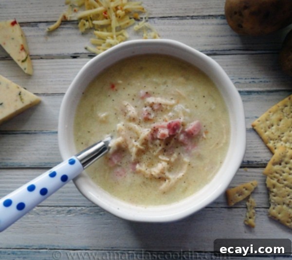 Cheesy Chicken & Ham Chowder Cheesy Chicken & Ham Chowder
