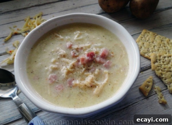 Cheesy Chicken & Ham Chowder Cheesy Chicken & Ham Chowder