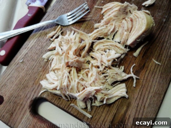 shredded chicken shredded chicken