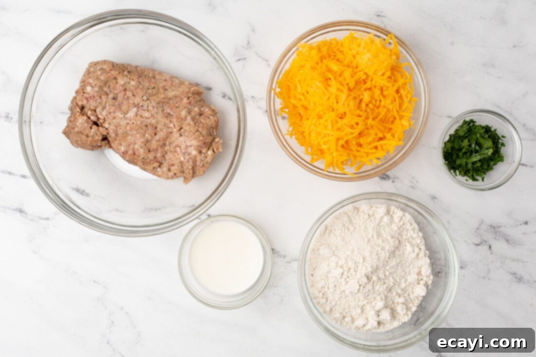 Savory Sausage Bites 4 All four ingredients for sausage balls laid out: sausage, cheese, Bisquick, and milk
