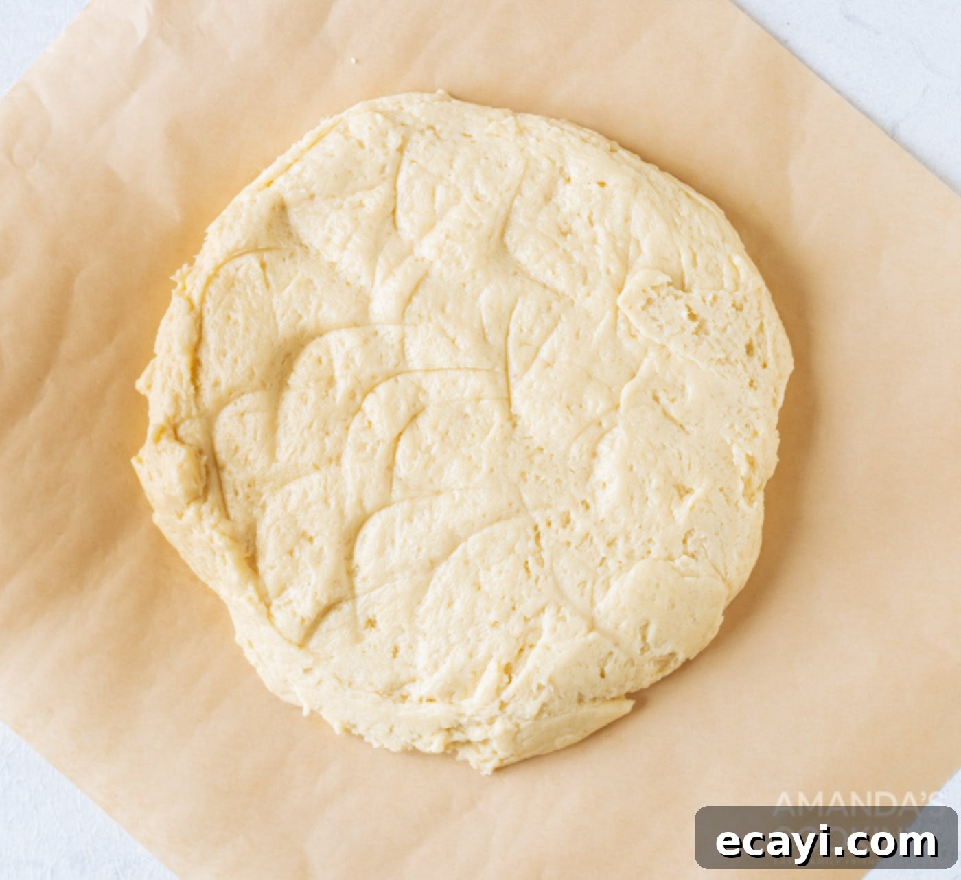 Soft Frosted Lofthouse Cookies 6 Lofthouse cookie dough formed into a disc and chilling.