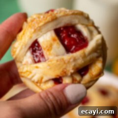 Cherry Pie Bites 10 Cherry Pie Cookies with a beautiful lattice crust and sparkling sugar