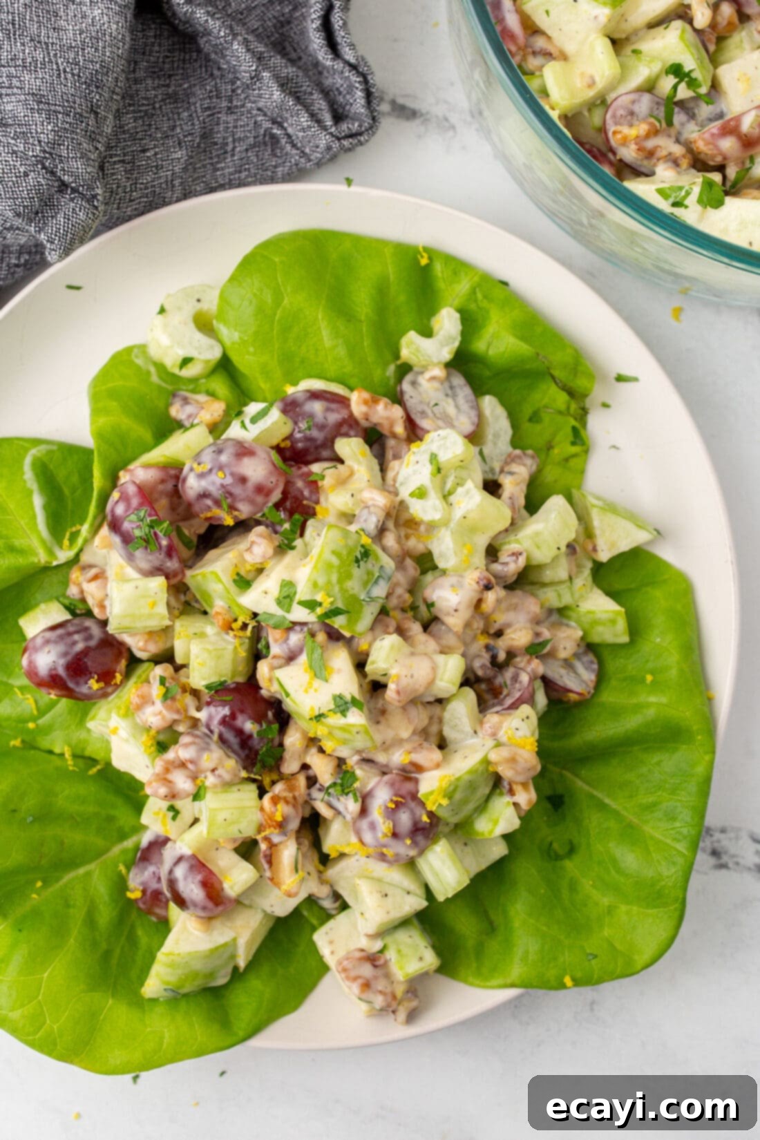 Crisp Apple Walnut Delight 2 Waldorf Salad on a plate, showcasing its colorful ingredients and creamy dressing.