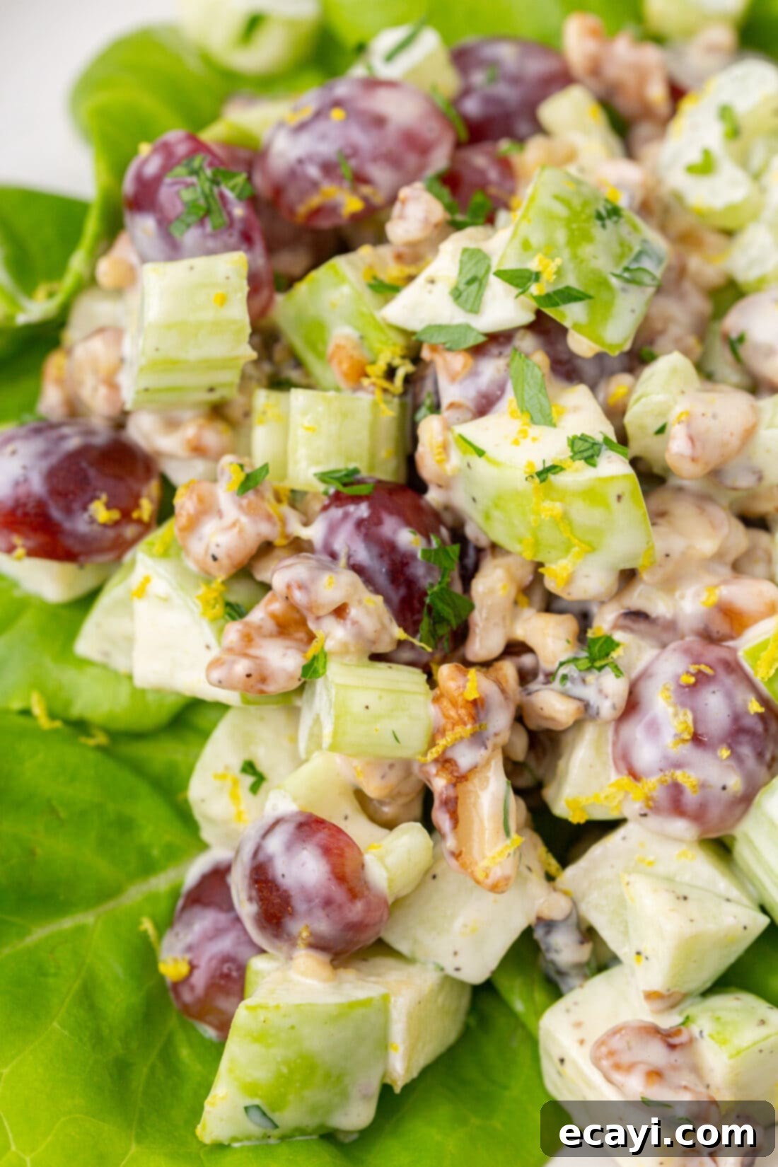 Crisp Apple Walnut Delight 7 Close up view of the finished Waldorf Salad, highlighting the fresh grapes, apples, and walnuts.