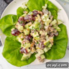 Crisp Apple Walnut Delight 8 Waldorf Salad in a serving bowl, ready to be enjoyed.