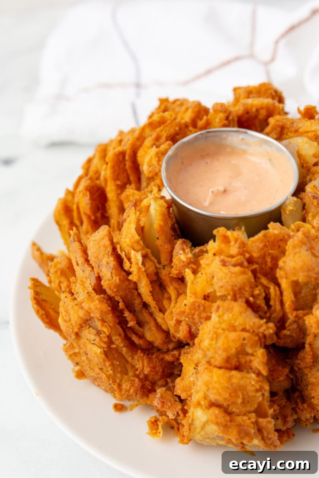 Blooming Onion 2 Blooming Onion with dip