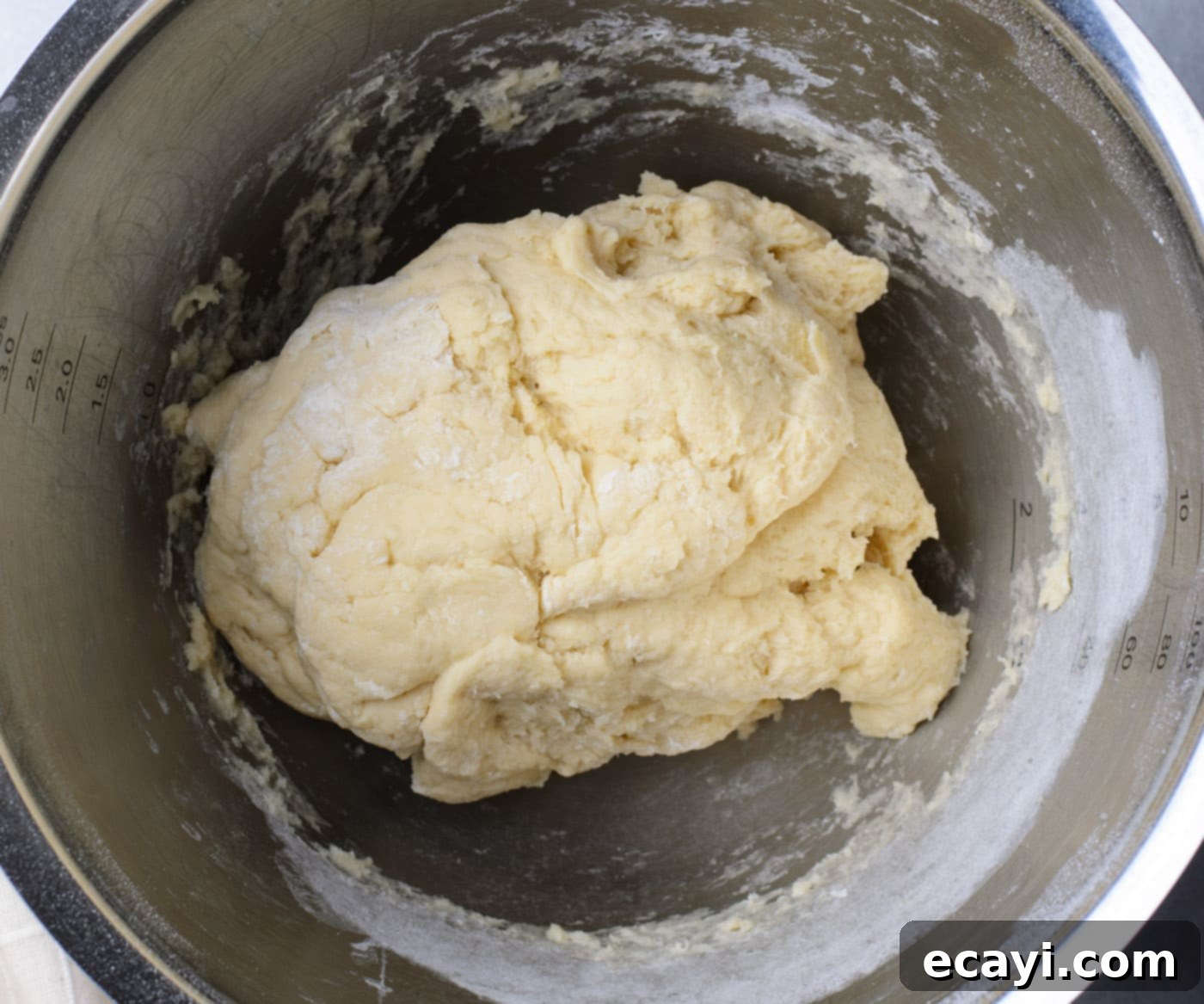 Swirling Chocolate Delight 7 Smooth and elastic bread dough resting in a mixing bowl after being kneaded, showcasing its perfect texture.