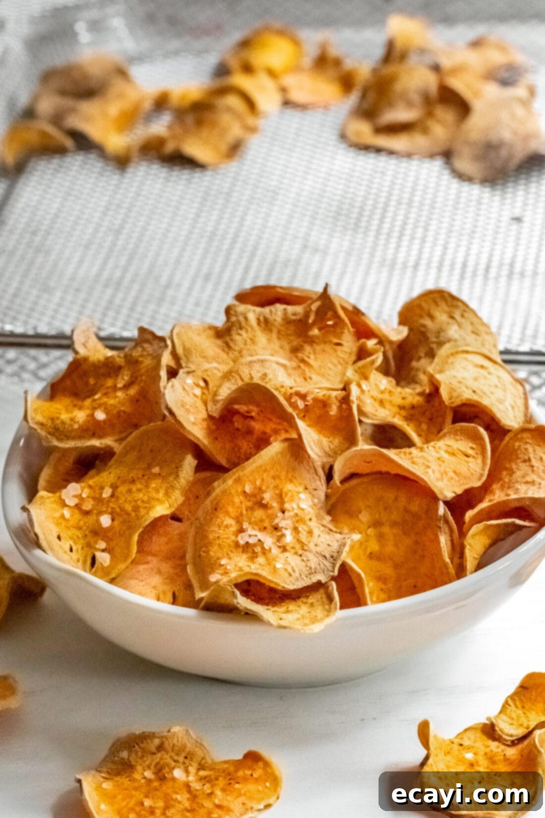 Crispy Air Fryer Sweet Potato Chips 2 A beautifully arranged bowl of golden Air Fryer Sweet Potato Chips, perfectly crisp and seasoned, ready to be enjoyed.