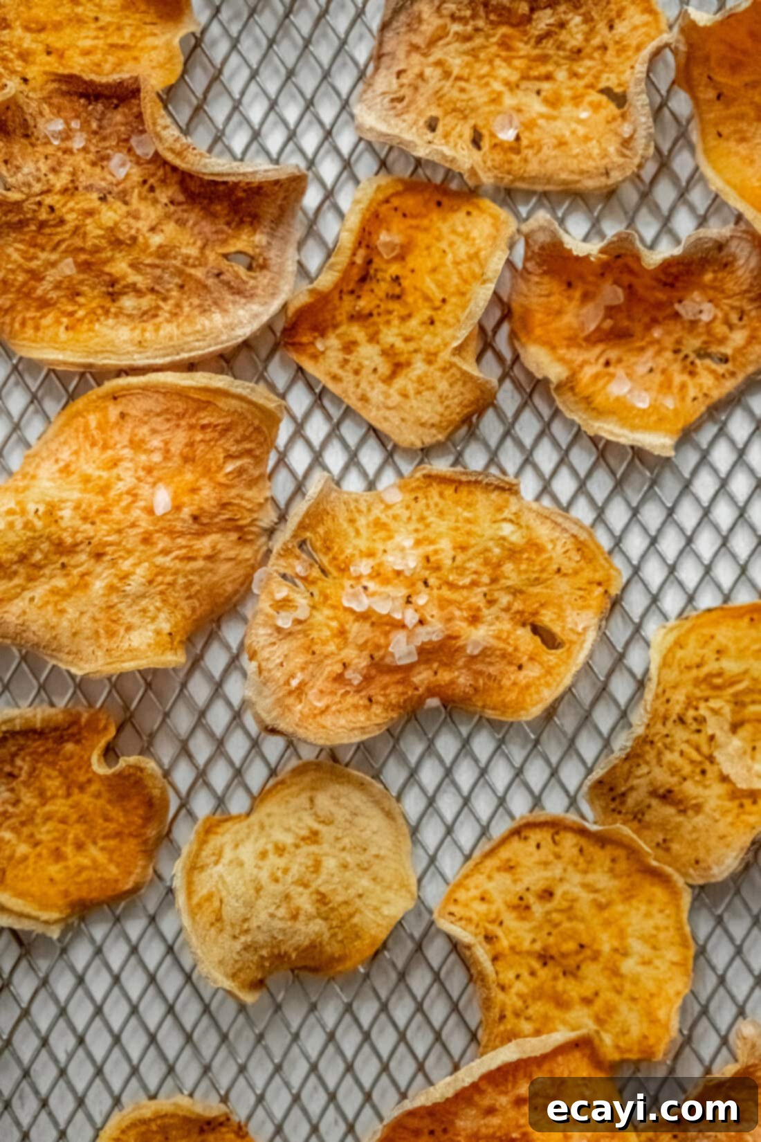 Crispy Air Fryer Sweet Potato Chips 3 Air Fryer Sweet Potato Chips spread out on an air fryer rack, showcasing their even crispiness and golden color.