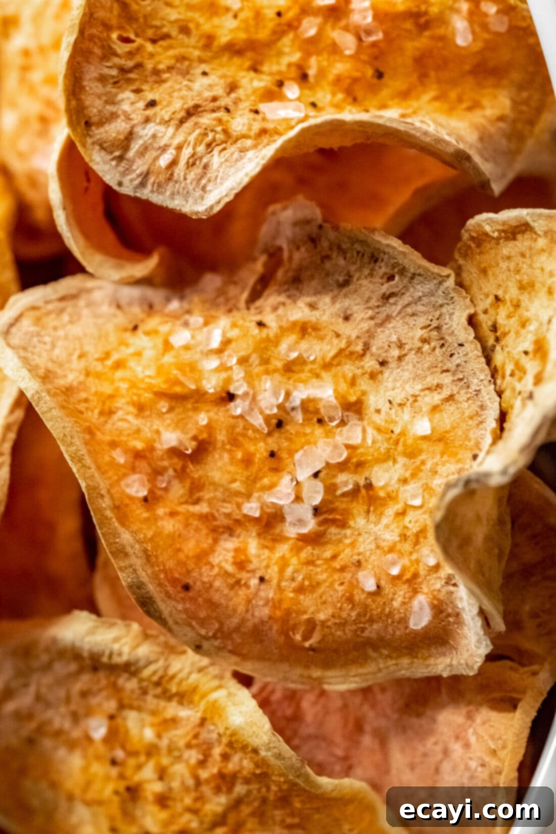 Crispy Air Fryer Sweet Potato Chips 5 A close-up view of a single Air Fryer Sweet Potato Chip, showing its crispy texture and delicious seasoning.