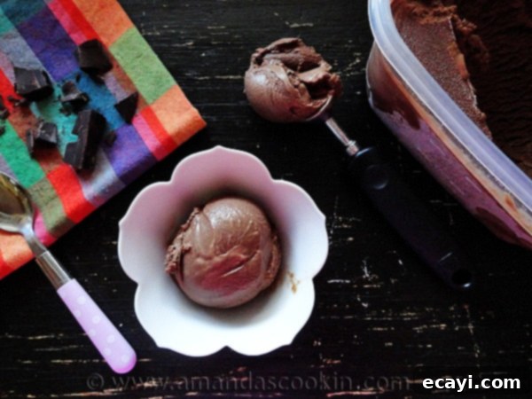 Black Cow Ice Cream An overhead photo showing a scoop of Black Cow ice cream nestled in a decorative bowl, with an additional scoop waiting in an ice cream scooper beside it, highlighting its rich texture.