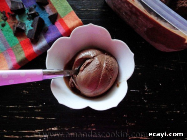 Black Cow Ice Cream A vibrant overhead view of a single scoop of Black Cow ice cream, perfectly presented with a spoon, inviting a moment of sweet indulgence.