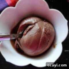 Velvet Cow Float 2 Black Cow Ice Cream