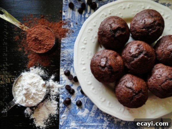 Starbuck's Hot Cocoa Chocolate Chip Muffins Starbucks Hot Cocoa Chocolate Chip Muffins on a plate, ready to be enjoyed.