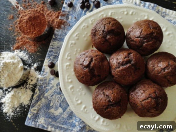 Starbuck's Hot Cocoa Chocolate Chip Muffins An overhead shot of a fresh batch of copycat Starbucks hot cocoa chocolate chip muffins, ready for serving.