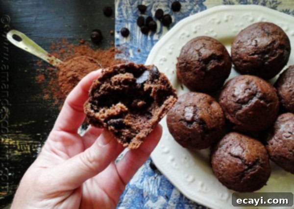 Starbuck's Hot Cocoa Chocolate Chip Muffins A selection of Starbucks hot cocoa chocolate chip muffins, highlighting the generous amount of chocolate chips.