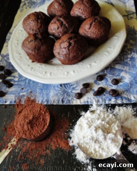 Starbuck's Hot Cocoa Chocolate Chip Muffins A perfectly baked Starbucks hot cocoa chocolate chip muffin, showcasing its golden brown top and inviting texture.