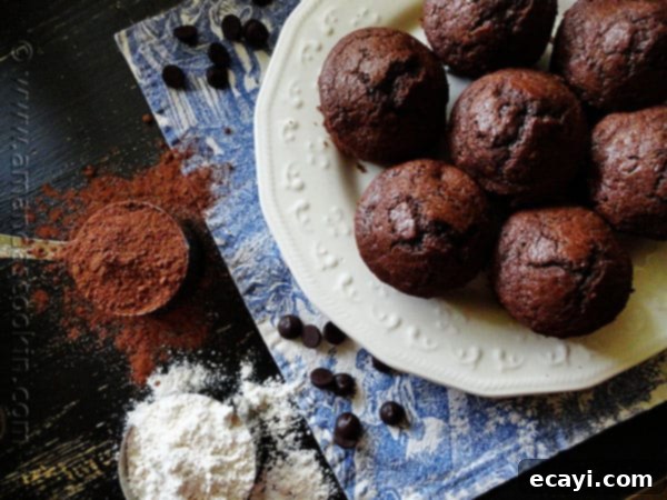 Starbuck's Hot Cocoa Chocolate Chip Muffins An overhead photo of Starbuck's hot cocoa chocolate chip muffins on a white plate with cocoa and flour to the side, creating a rustic baking scene.