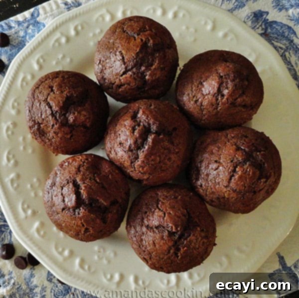 Starbuck's Hot Cocoa Chocolate Chip Muffins An inviting overhead photo of copycat Starbucks hot cocoa chocolate chip muffins beautifully arranged on a white plate.