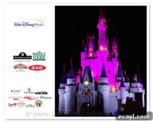 Food Blog Forum Disney Castle