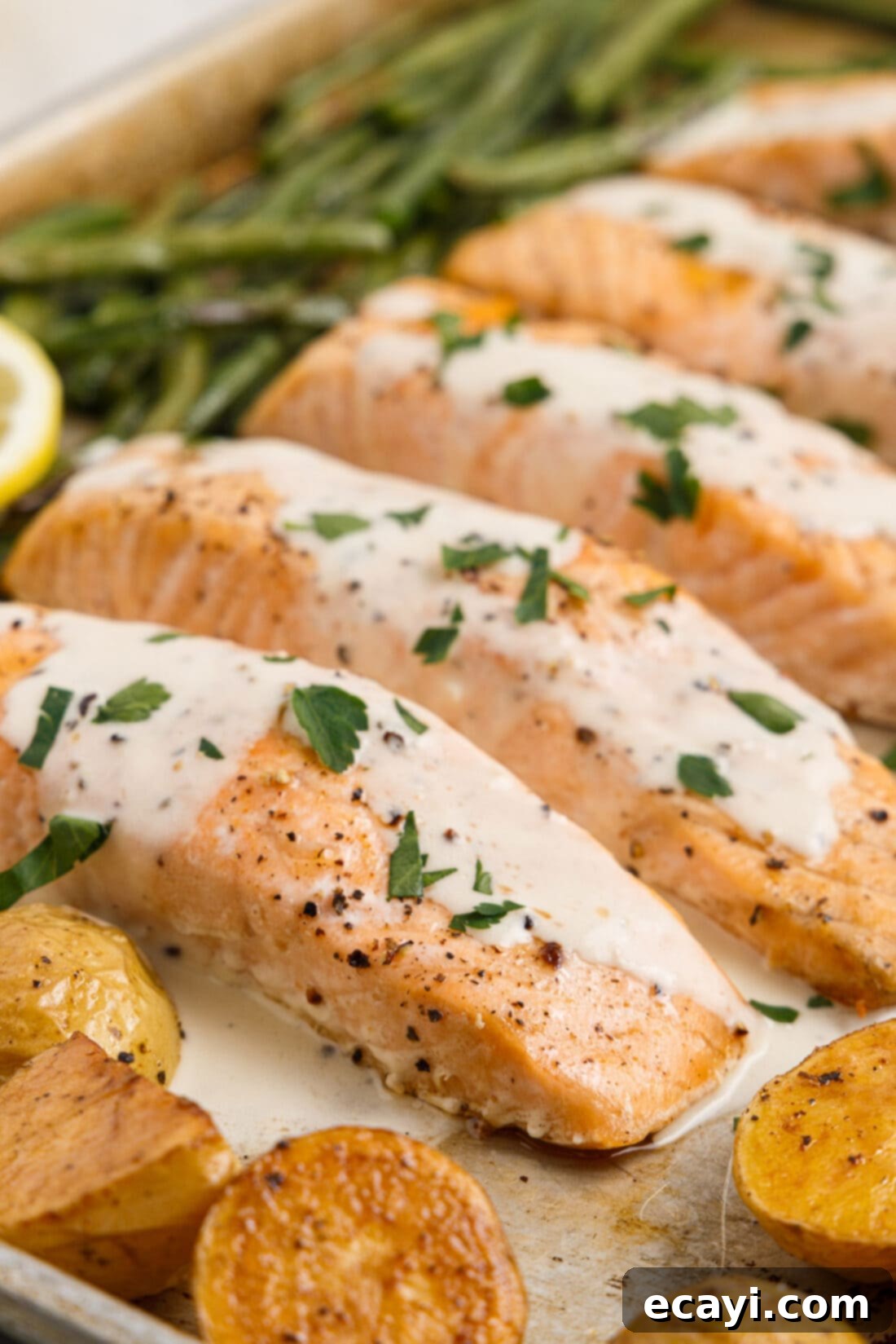 Oven Roasted Salmon Perfection 2 Flaky baked salmon with a generous drizzle of lemon cream sauce and fresh parsley garnish