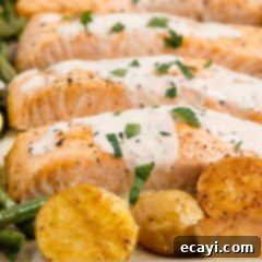Oven Roasted Salmon Perfection 6 Baked Salmon with lemon cream sauce, garnished with fresh parsley