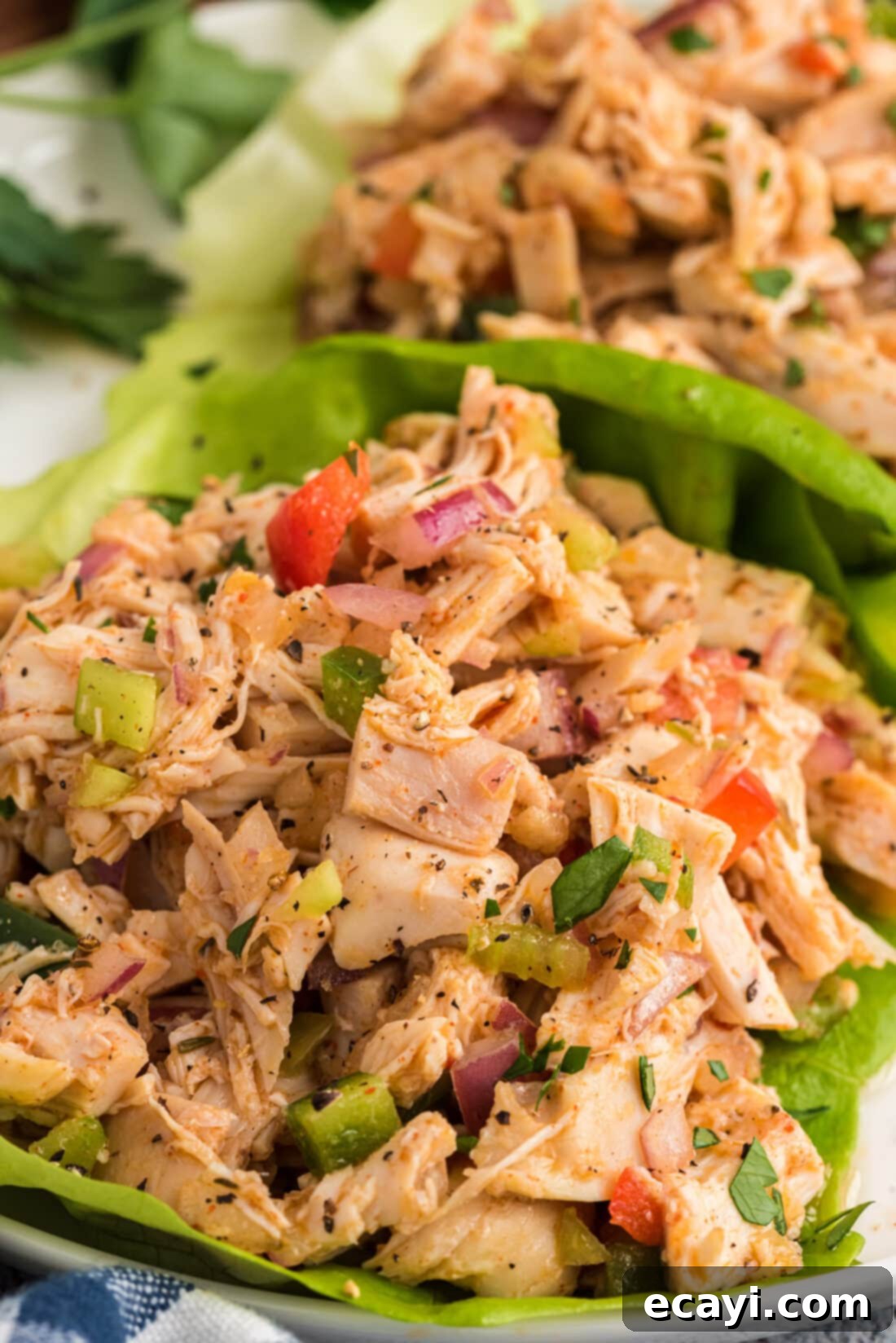 Bayou Chicken Salad 2 Cajun Chicken Salad served on fresh lettuce leaves, showcasing its vibrant colors and crisp texture, ready for a healthy meal.