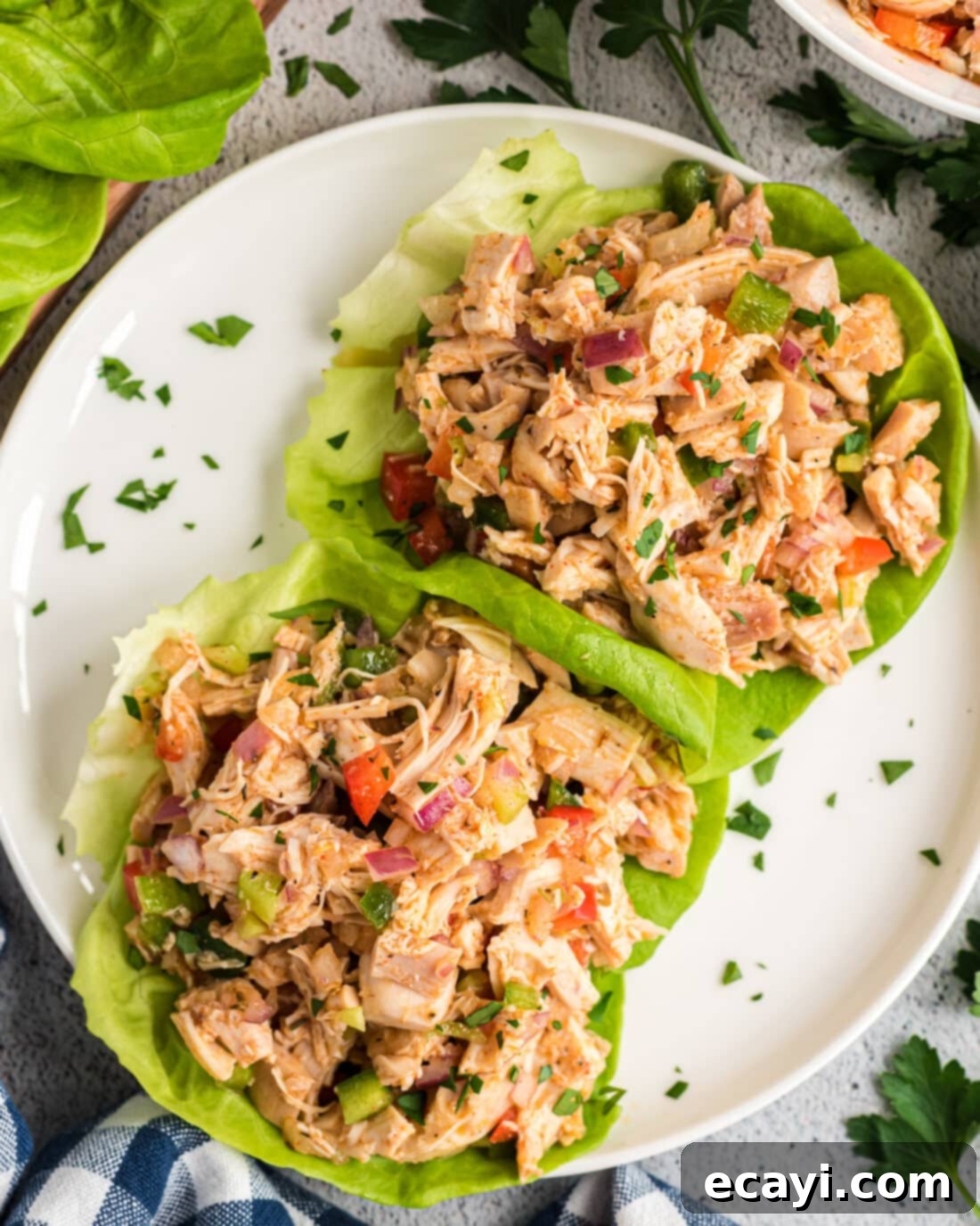 Bayou Chicken Salad 10 Cajun Chicken Salad elegantly arranged on individual crisp lettuce beds in a white bowl, perfect for a light and healthy meal or sophisticated appetizer presentation.