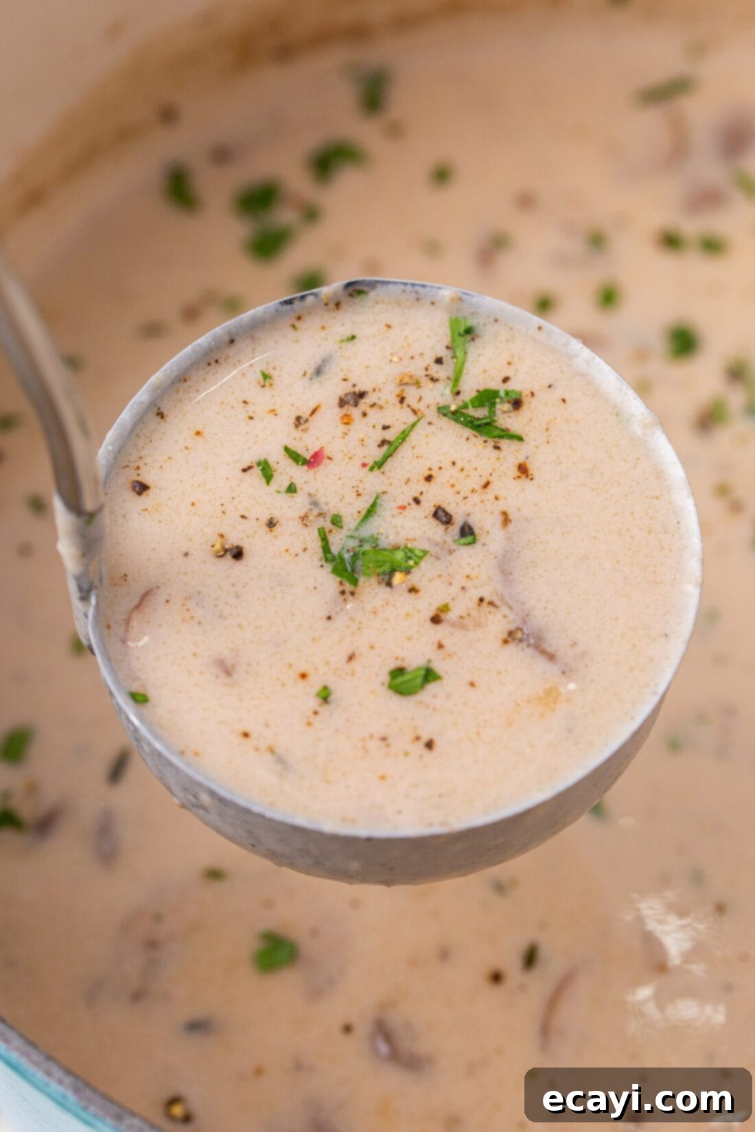 Rich Velvety Mushroom Soup 2 ladle of Cream of Mushroom Soup