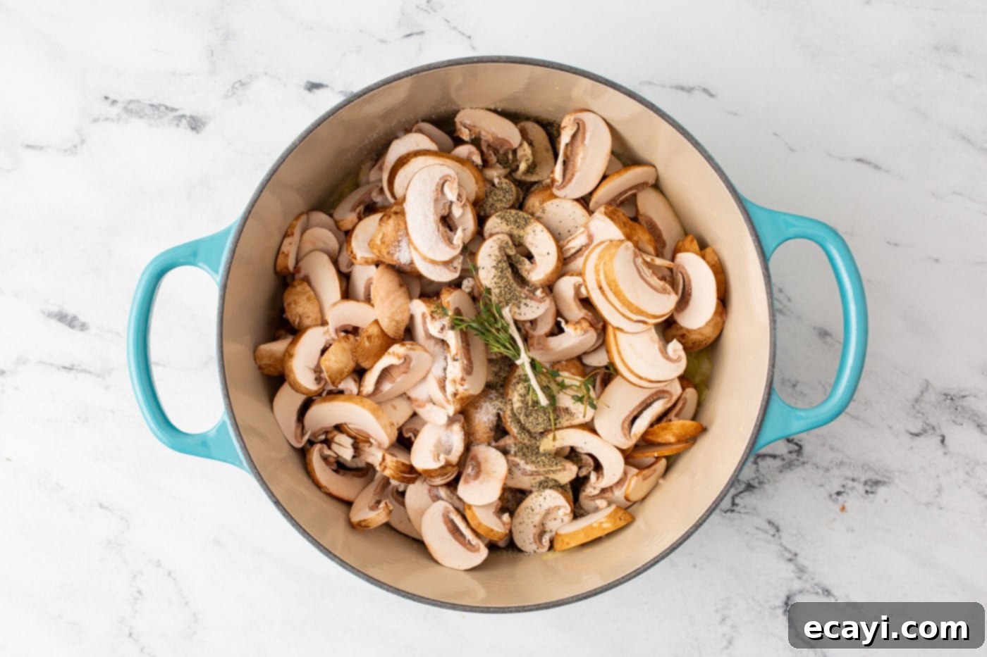 Rich Velvety Mushroom Soup 6 mushroom and seasonings in a large dutch oven